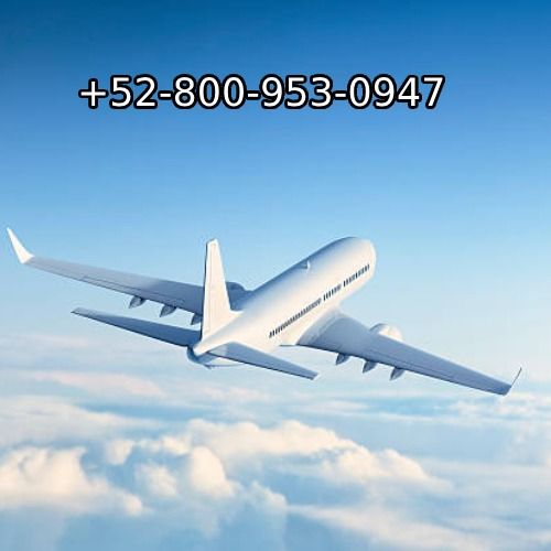 ¿Cómo puedo hablar con un representante de Volaris?